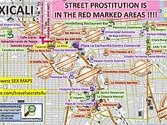discover sultry fun in mexicali