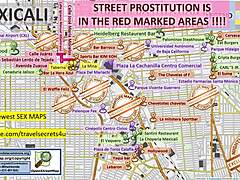 discover sultry fun in mexicali