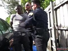 Officer’s Daring Flasher Capture