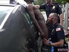 Officer’s Daring Flasher Capture
