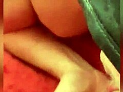 Mamada a macho del sur en un encuentro privado