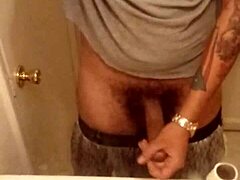 European Stud's Solo Display