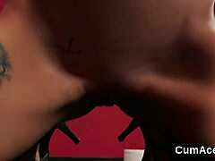 Beauty's Full Mouth Delight