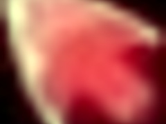 What Secrets Hide In Honeysun Hgame Deepthroat Scenes?