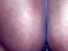 sitting on curves, dominating sequel