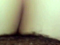 Huge BBW ass riding hard in interracial bang