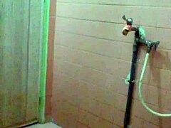 What’s hiding in this gay bathroom display?