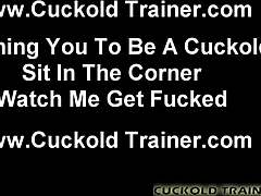MILFs Rule Fiery Cuckold Game 🔥