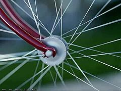 Being A Dik Interlude Part 271 - Zoey's Daring Tale