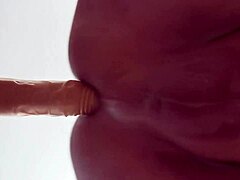 german solo gay passion
