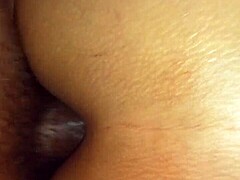 Amateur couple’s bold backdoor thrill
