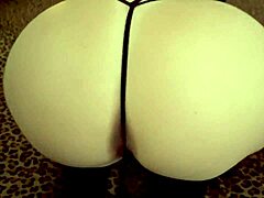 BIG CURVES BACKDOOR HANDS-FREE LICKS