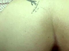 Sentei no Pau e Fiz Explodir