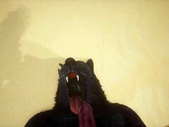 Gay Wolves in Wild Intimacy