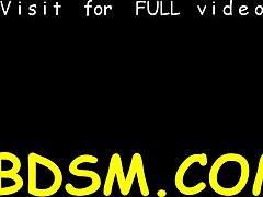 stunning curves meet bold bdsm play