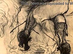 timeless sketches of forgotten desire