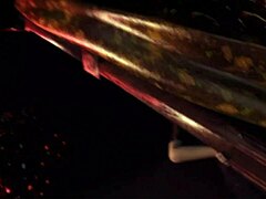 Bold curves star in steamy animation