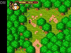 Chichi’s naked ass in wild hentai action