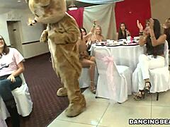 Seductive Strip Bold Orgy Tonight