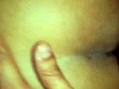 Indian bold hot rush