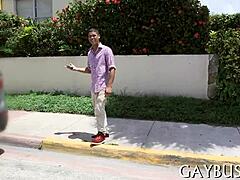 Gay stud pounds with massive shaft