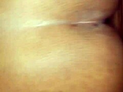 Indian bold hot rush