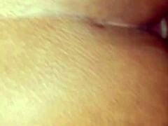 Indian bold hot rush