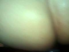 blk chub fucks white bear hard
