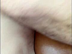 white bull fucking and breeding hotwife slut