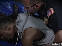 Hidden Passion Ignites Interracial Flame