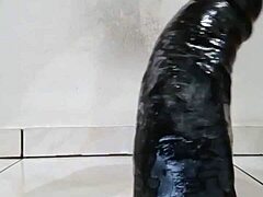 Santa Catarina Gay Fuck