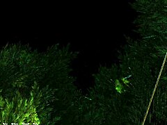 my raw 3D game action