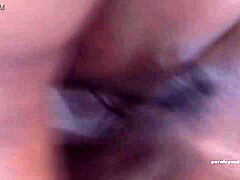 my jada fire takes sean michaels' huge cock