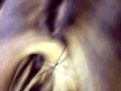 An amateur blowjob that makes an ant get his dick sucked the right way