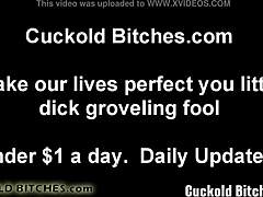 Big beautiful women how to give a perfect blowjob