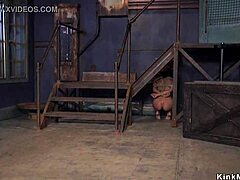 Huge Tits BDSM