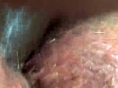 Fat Ass Pussy Fuck