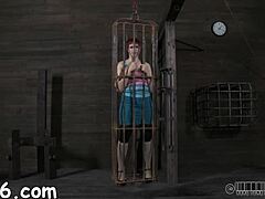 Four Beauties Trapped Inside Petite Cage