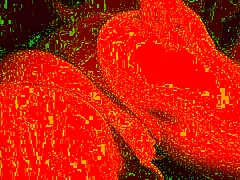 Face Down Fucking Transmanpussy in Close-Up