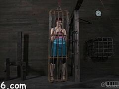 Four Beauties Trapped Inside Petite Cage