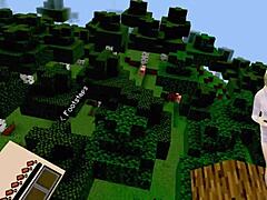 can you tell it’s my first minecraft ass tease?