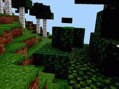 can you tell it’s my first minecraft ass tease?