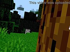 can you tell it’s my first minecraft ass tease?