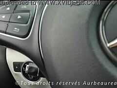 french milf’s pov blowjob in forest spot