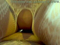 Holy Cow! Morning Blowjob and Wild Cowgirl Ride in Fishnets
