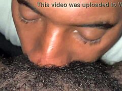 hypnotic craves that rough pounding