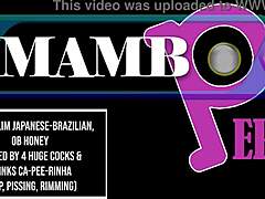 OMG, this slim Japanese-Brazilian babe takes on 4 massive cocks! Dry DAP, rimming, and gapes! 😲