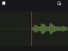 incredible audio of my argentinian neighbor part 2