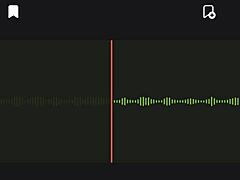 incredible audio of my argentinian neighbor part 2