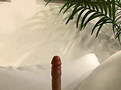 Burning hot shemale ready for wild action